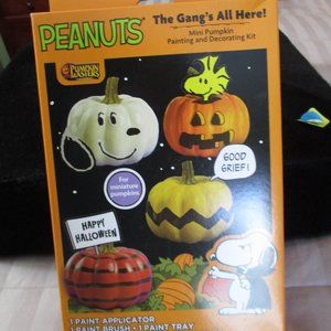 Peanuts Snoopy Pumpkin Masters Halloween Mini Pumpkin Decorating Kit NEW